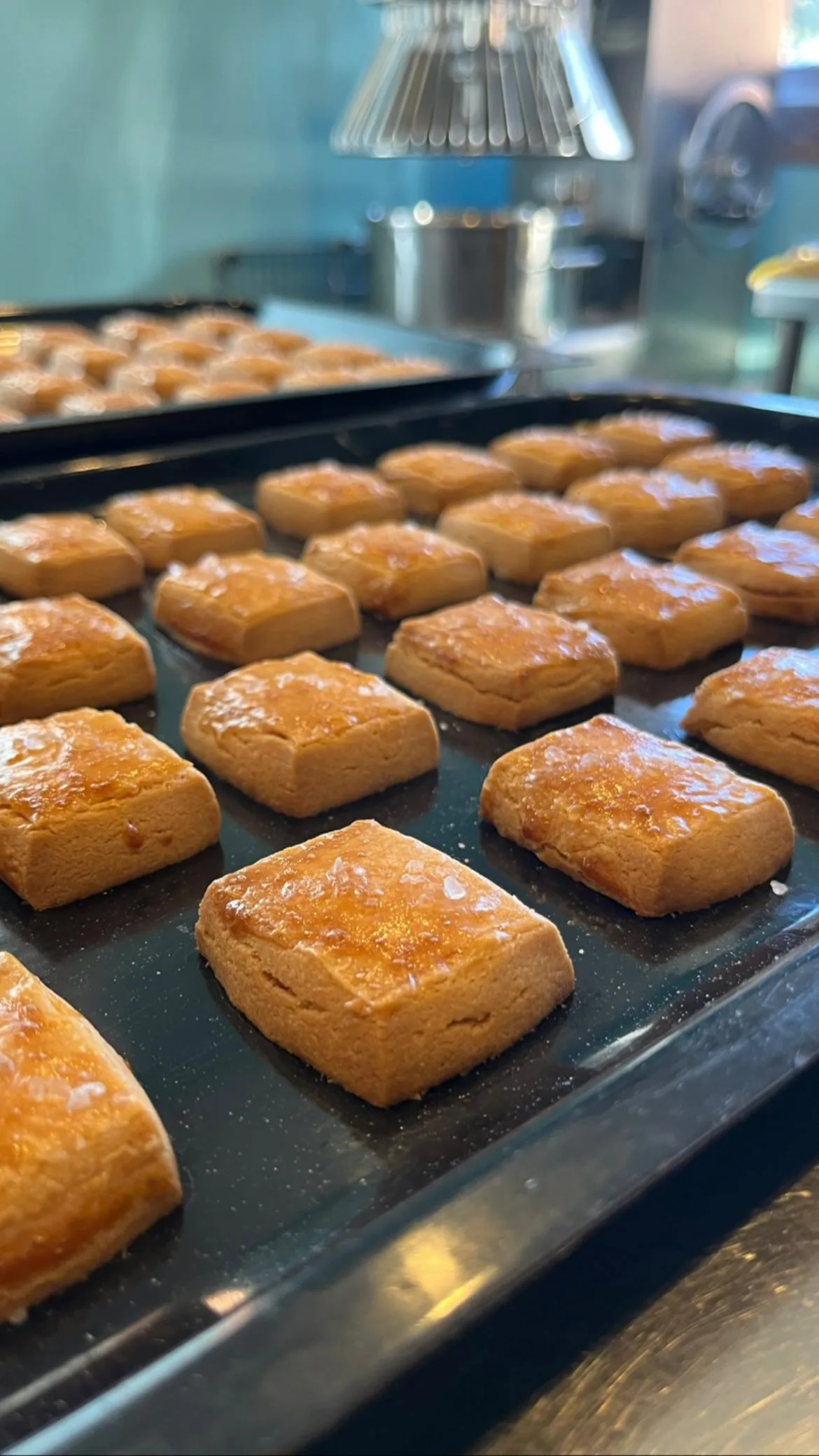 天板で焼き上がったフィナンシェ